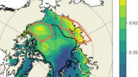 Drivers of Interannual Salinity Variability in the Arctic Ocean Drivers of Interannual Salinity Variability in the Arctic Ocean