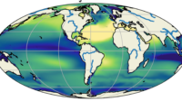 The Role of Large-Scale Seasonal Cycle Advection in Maintaining the Mean Ocean Salinity Distribution